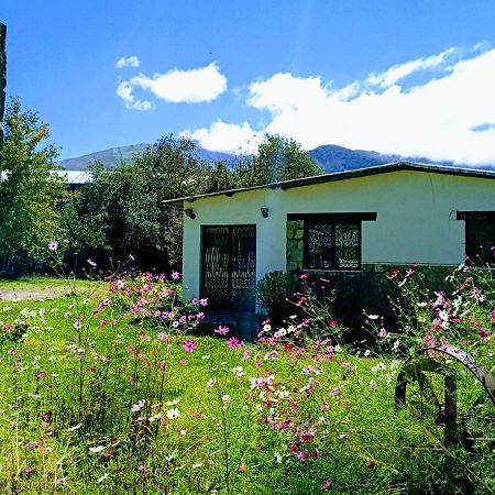La Casa De Susana Tafí del Valle Exterior foto